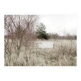 Abandoned Sofa in the middle of nowhere (Print Only) thumbnail