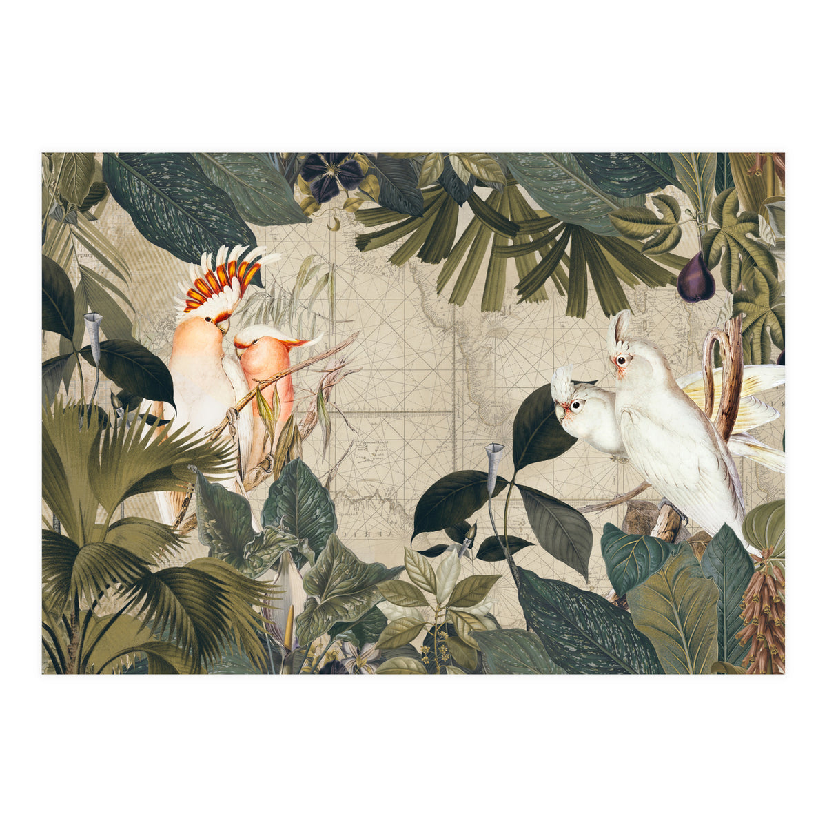 Cockatoo Island (Print Only)