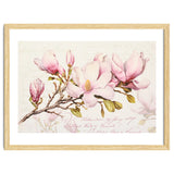 Magnolia Spring Romance Pink thumbnail
