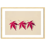 Dancing Leaves thumbnail