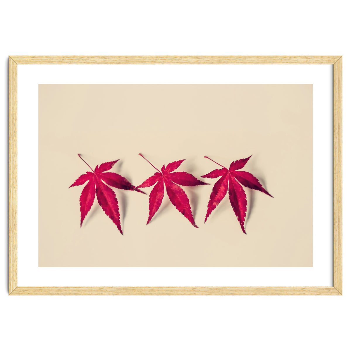 Dancing Leaves