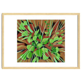 Meadow at spring thumbnail