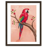 Red Macaw Parrot Bird Forest thumbnail