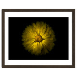 Backyard Flowers No 10 Color Version thumbnail