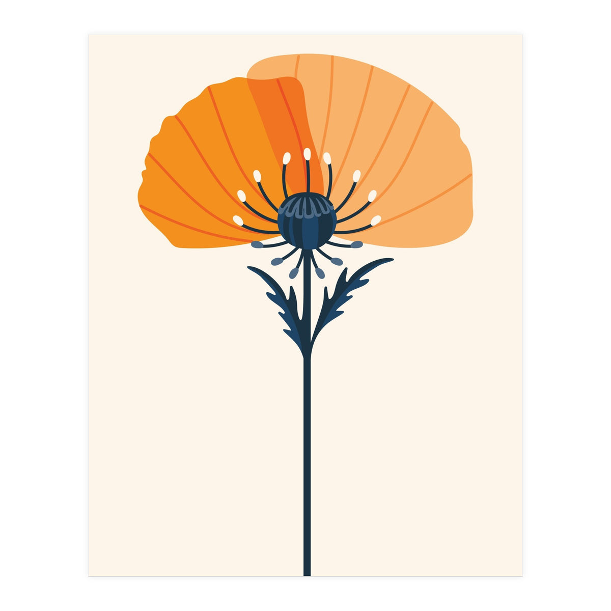 Orange Half Poppy (Print Only)