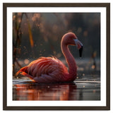 Pink Flamingo Swimming In Sunlight Water thumbnail