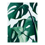 Monstera Tropical Photography Digital Art, Minimal Nature Jungle Botanical Leaves (Print Only) thumbnail