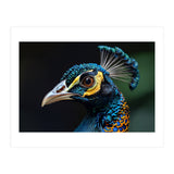 Close-up of a Peacock’s Head (Print Only) thumbnail