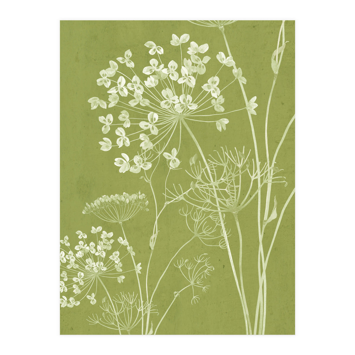 Wildflowers III (Print Only)