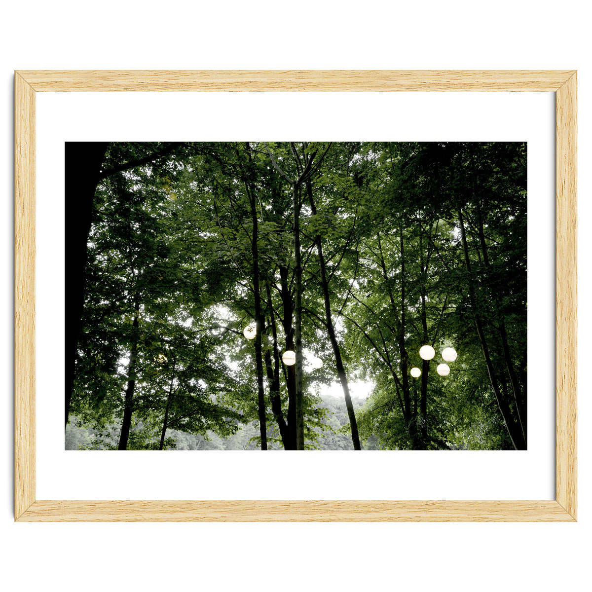 Light bulb among the trees in the summer forest