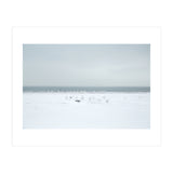 Seagulls in the Snow beach (Print Only) thumbnail