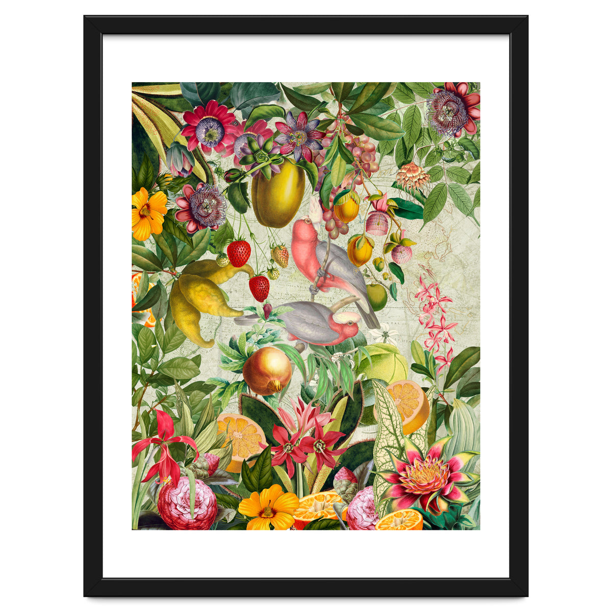 Pink Cockatoo vintage jungle