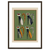 Striped Lemurs thumbnail
