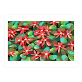 Red flowers (Print Only) thumbnail