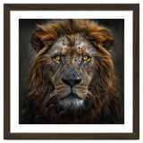 Majestic Lion With Glowing Eyes Close Up Portrait thumbnail