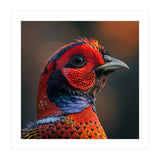 Close Up Pheasant Bird  (Print Only) thumbnail