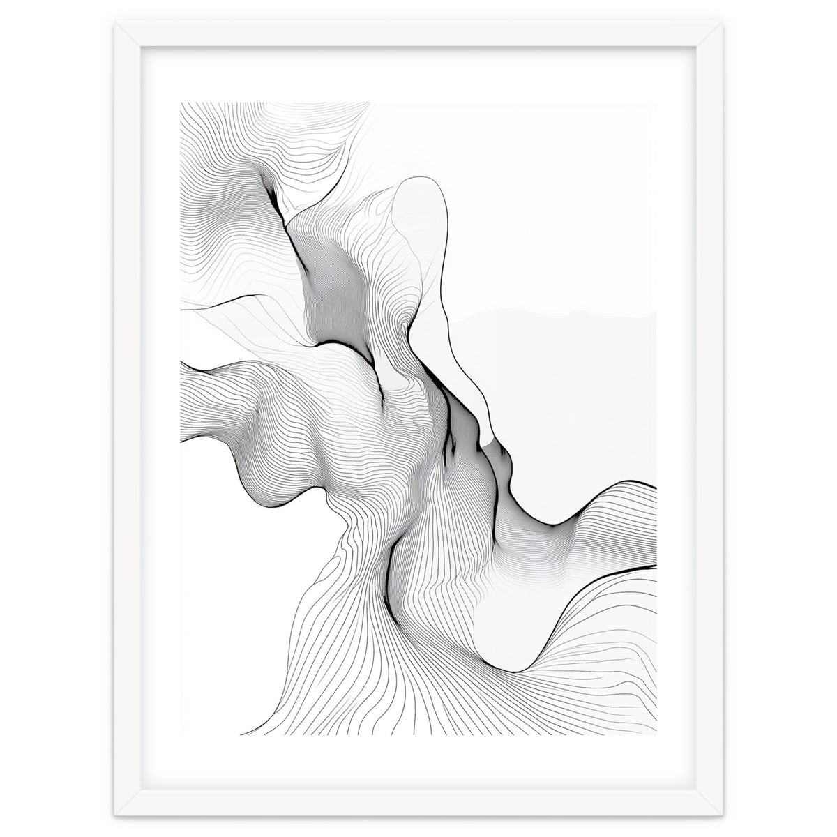 Abstract Black And White Flowing Lines