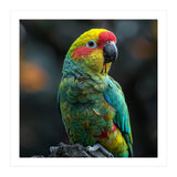 Vibrant Amazon Parrot Perched On A Branch (Print Only) thumbnail