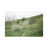 Green grass wall (Print Only) thumbnail