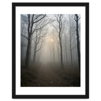Ethereal Morning Light Breaking Through Dense Forest Fog
