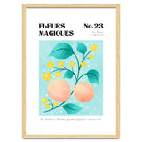 Magical Flowers No.23 Apricot Blossom thumbnail