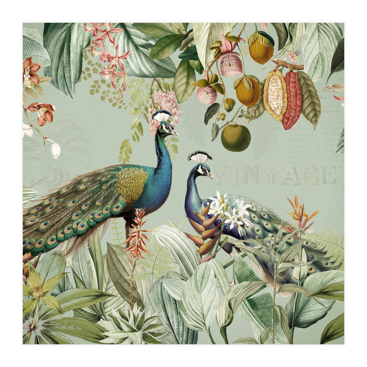 Vintage Exotic Asian Peacocks In Tropical Jungle Landscape (Print Only)