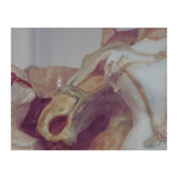 Ceramics II (Print Only) thumbnail