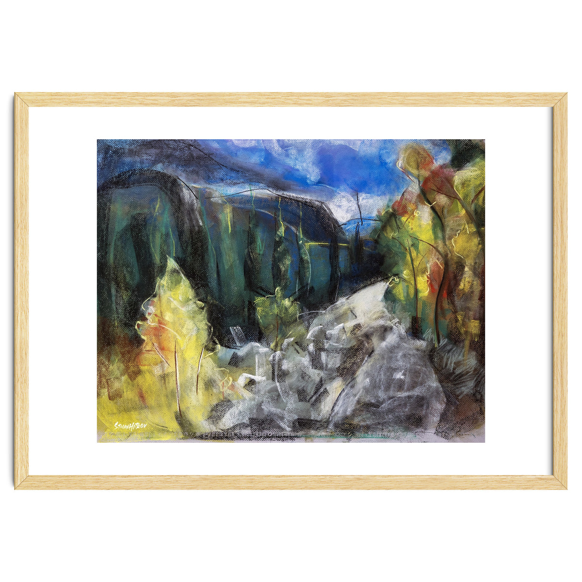 The Forest of Rila Mountain