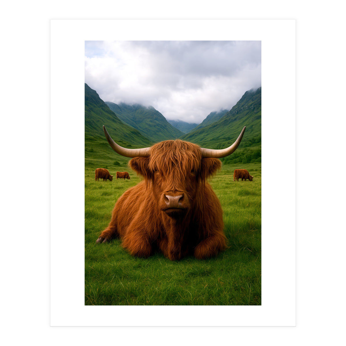 Highland Cow in Scotland (Print Only)