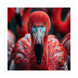 Close Up Flamingo Head With Bright Red Feathers (Print Only) thumbnail