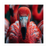 Close Up Flamingo Head With Bright Red Feathers (Print Only)