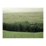 Small forest - Iceland (Print Only) thumbnail