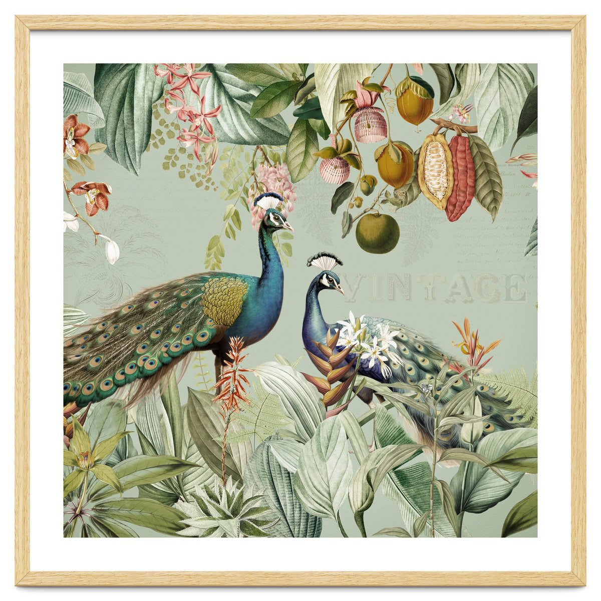 Vintage Exotic Asian Peacocks In Tropical Jungle Landscape