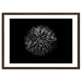 Backyard Flowers In Black And White No 68 with Border thumbnail