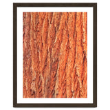 Tree Bark thumbnail