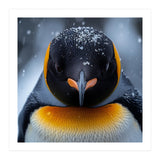 Close Up King Penguin In The Snow (Print Only) thumbnail