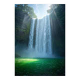 Lush Sun-Drenched Autumn Forest (Print Only) thumbnail