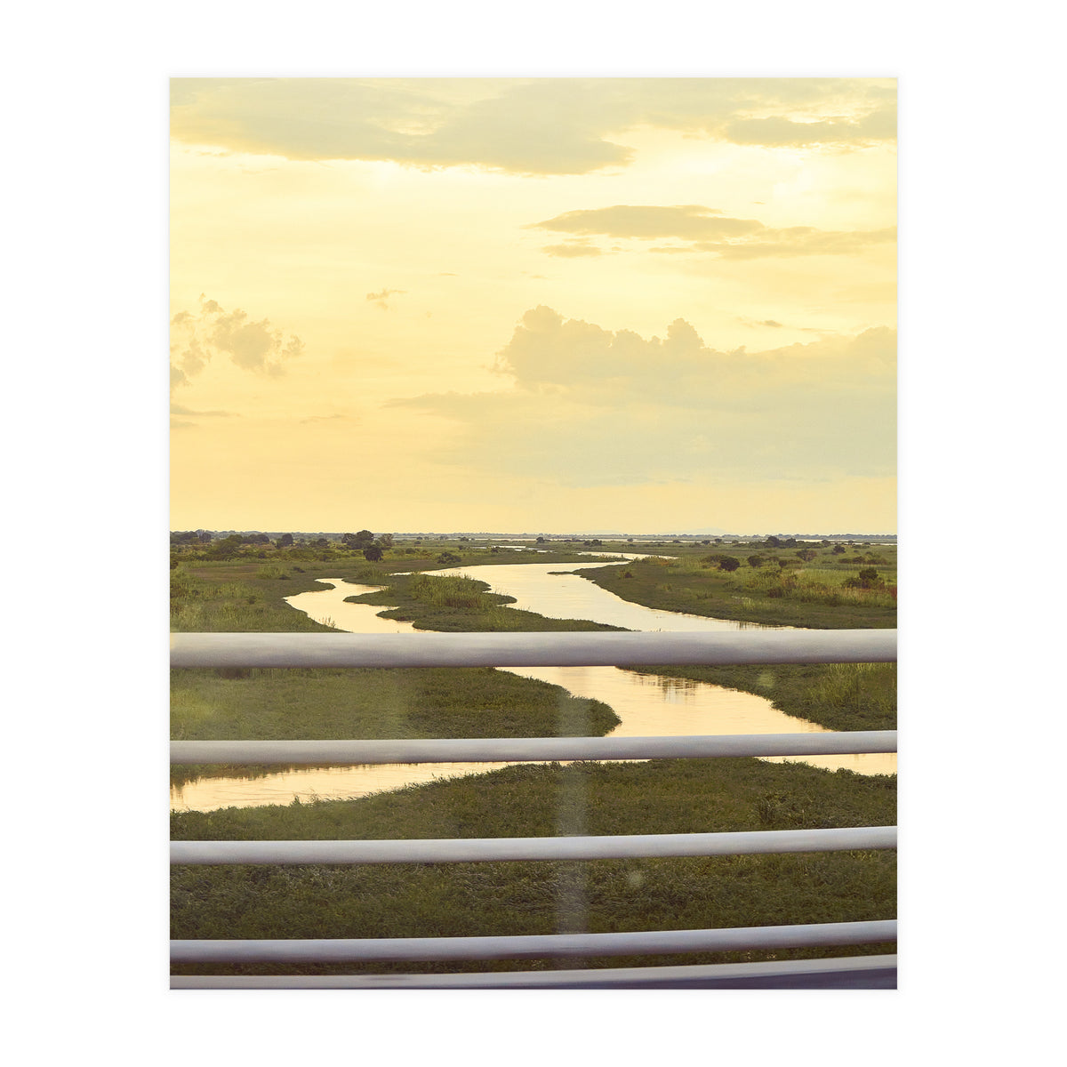 DESTINED (Print Only)