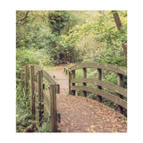 Path To The Bridge (Print Only) thumbnail