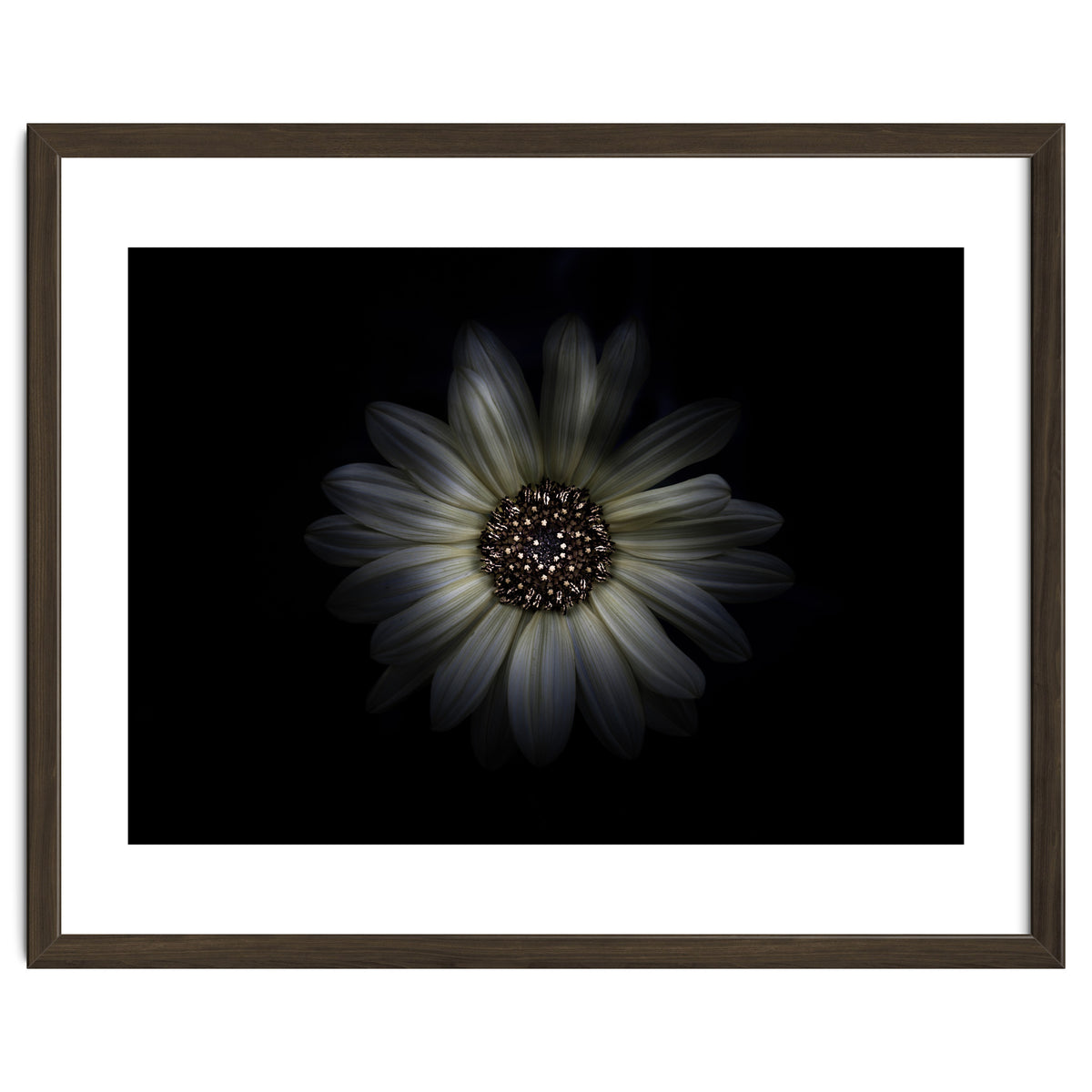 Backyard Flowers No 27 Color Version