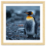 King Penguin Standing In The Rain thumbnail