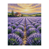 Visions of Provence (Print Only) thumbnail