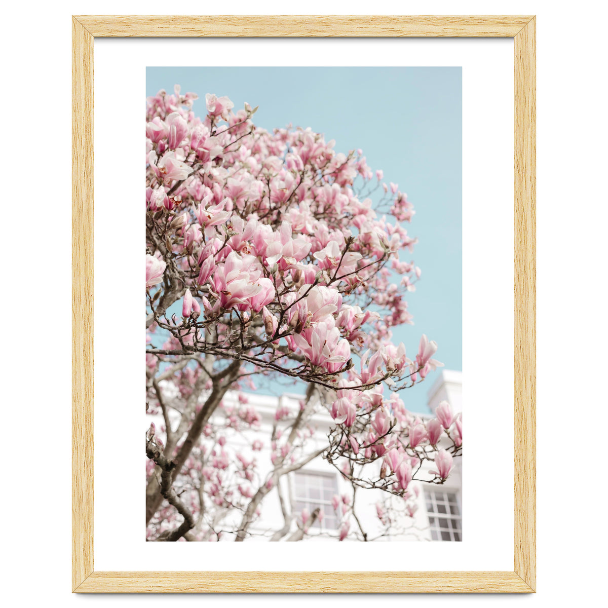 Spring Time