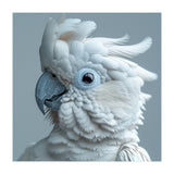 White Cockatoo Bird Portrait Close Up (Print Only) thumbnail