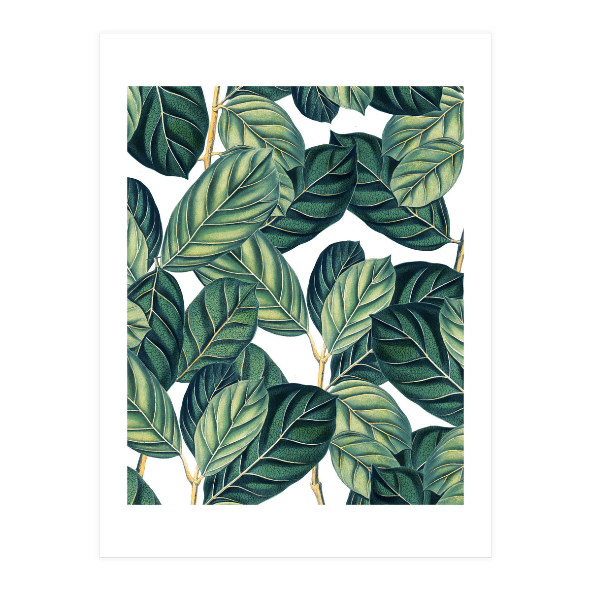 Botany #society6 #decor #buyart (Print Only)