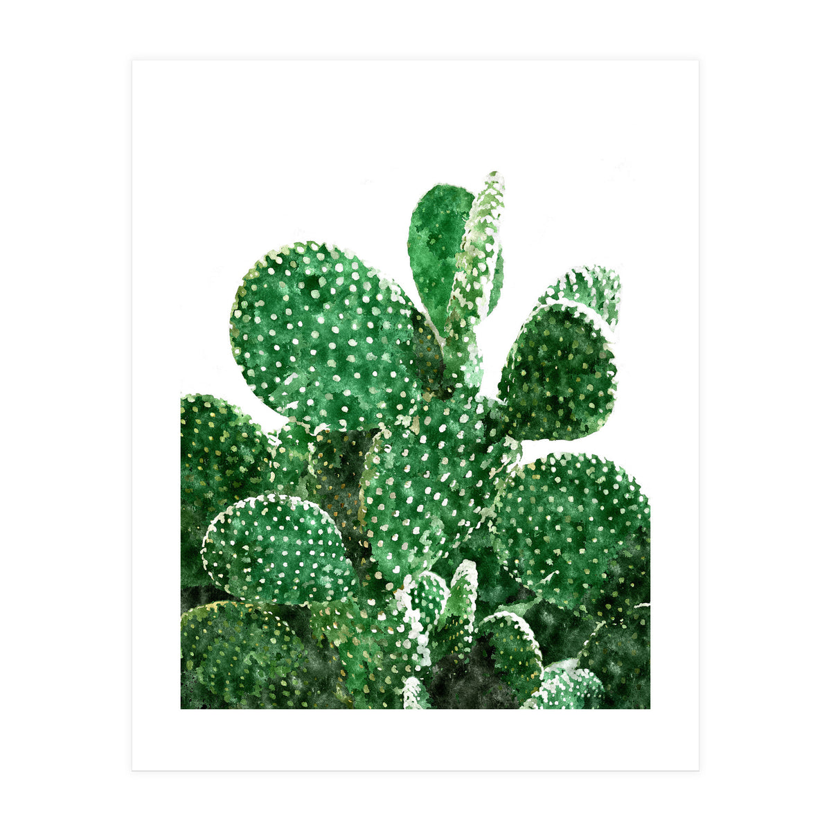 Velvet Cactus | Watercolor Botanical Plants | Minimal Boho Scandinavian Painting (Print Only)