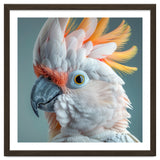 Salmon Crested Cockatoo Close Up Portrait thumbnail