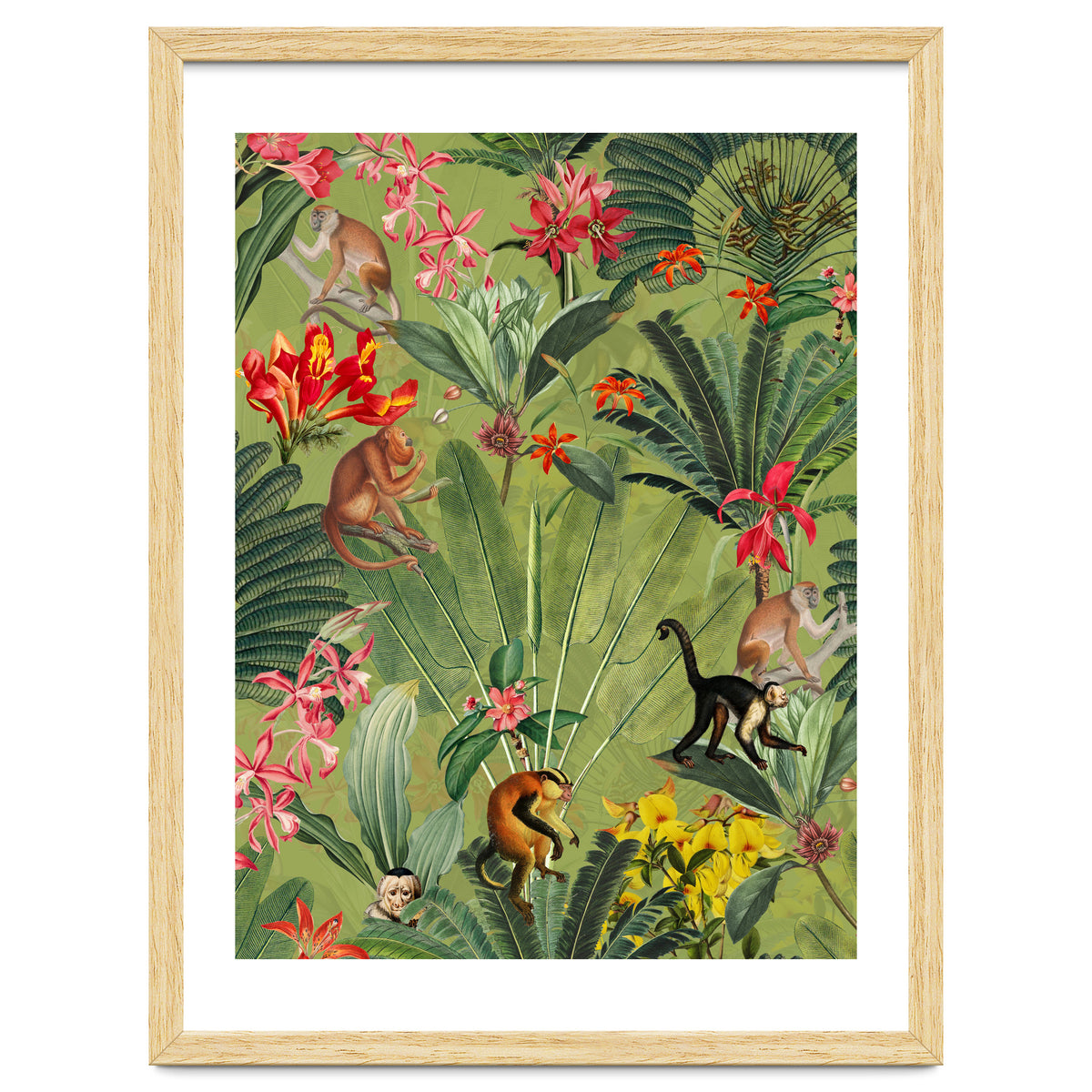 Monkeys In Tropical Jungle Paradise