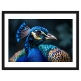 Peacock Head Close Up Majestic Blue Bird thumbnail