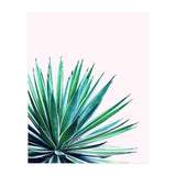 Agave Love #society6 #decor #buyart (Print Only) thumbnail